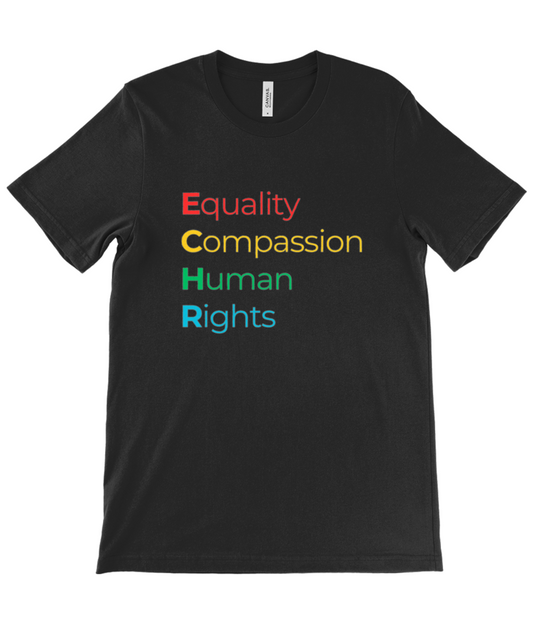 T-Shirt (Unisex) - ECHR Values